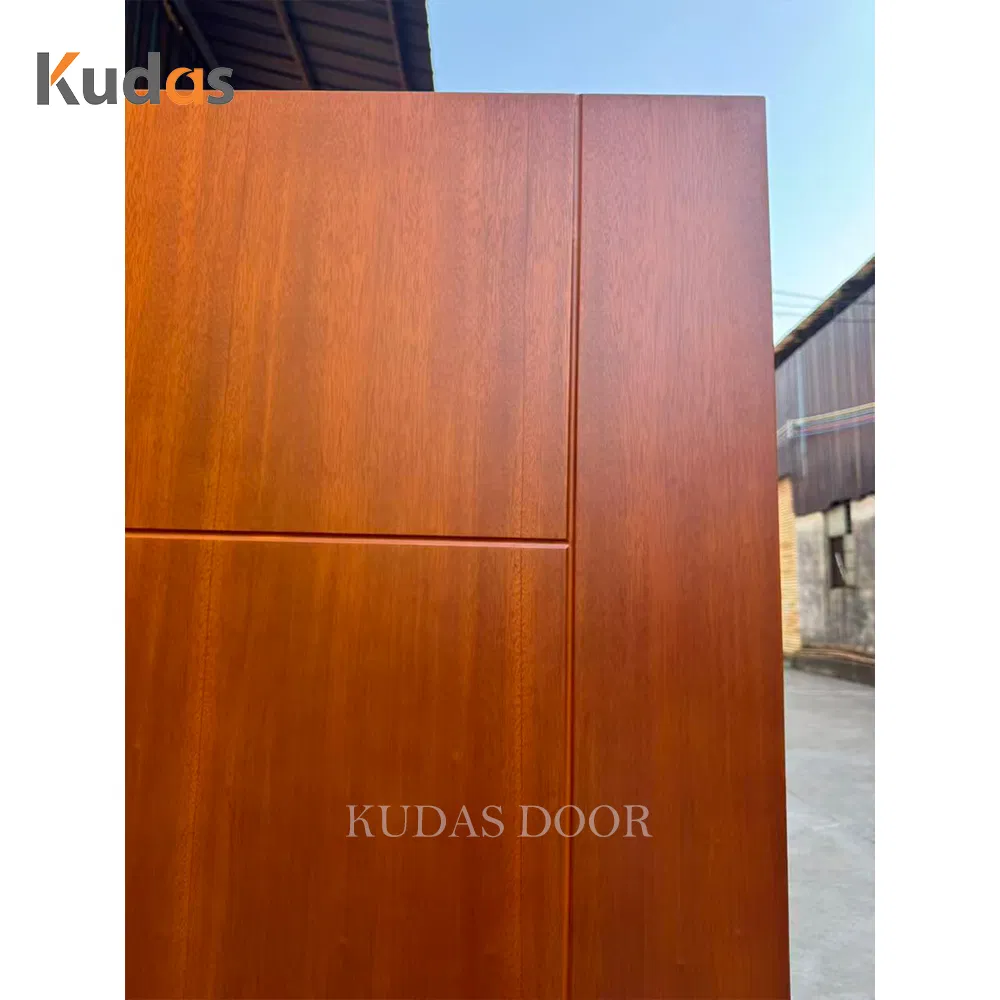 Modern Design Internal Interior Wooden Door Simple Swing Flush Panel for Home