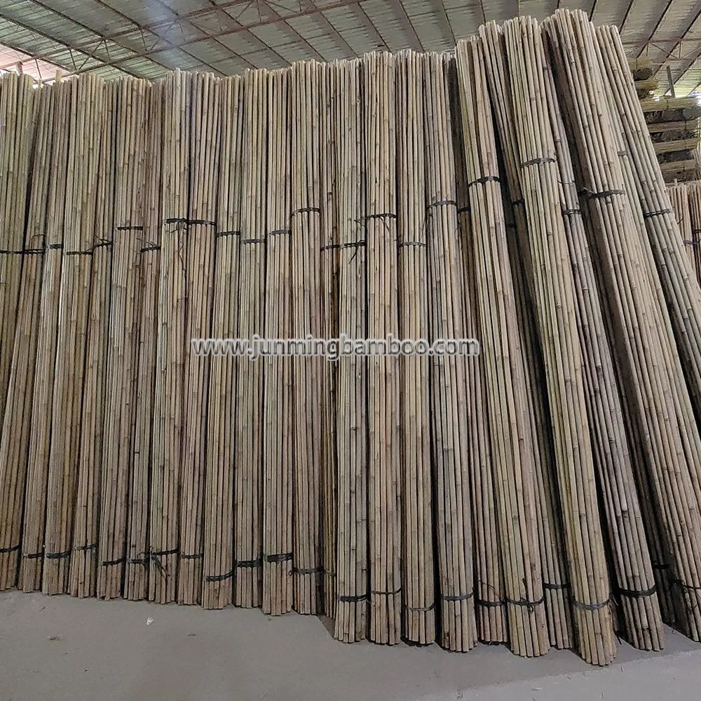 Tonkin Bamboo Cane Garden Stake Tsinglee Nature Raw Bamboo Poles Cheap Price Dia. 22/24mm X 300cm