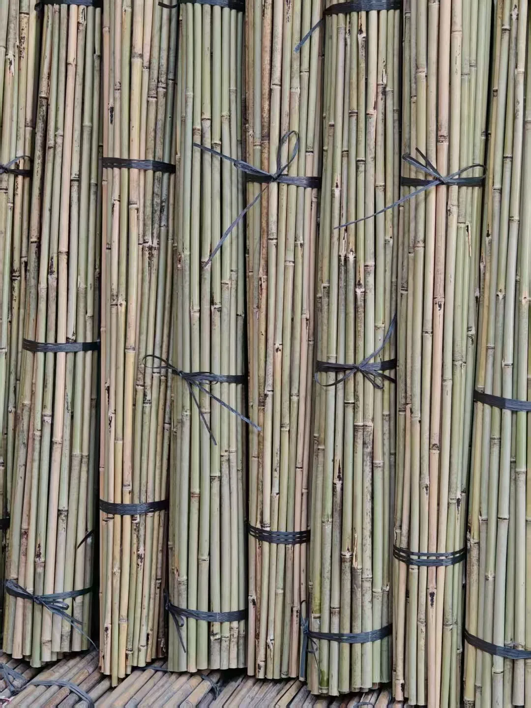 High Quality Nature Bamboo Cane Stake Dia. 22-24mm X 180cm for Plants Grow