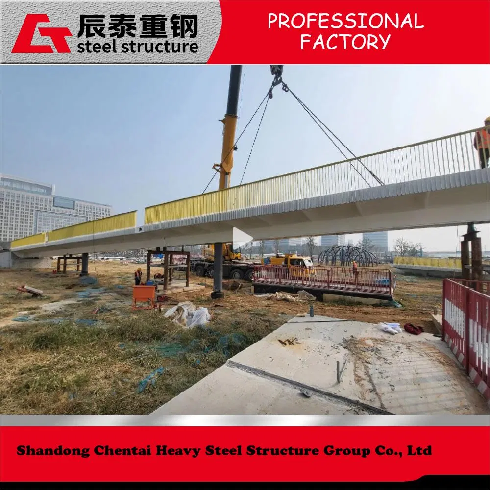 Modern Design Steel Structure Prefabricated Portable Long Span Custom Bridge