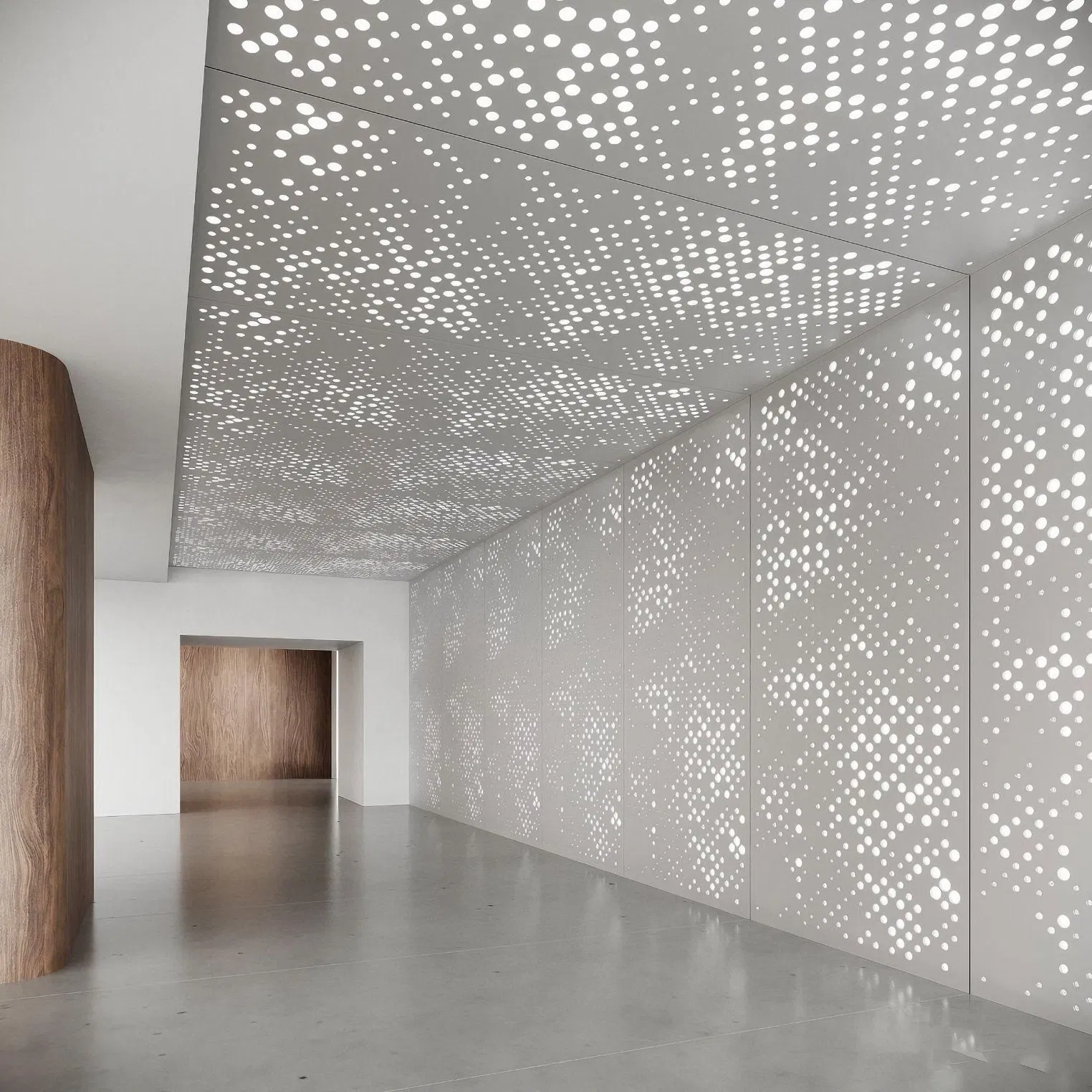 Aluminum Materials Cladding Custom Designed Patterns Easy to Install Powder Coating Perforated Carved Aluminum Panel for Wall Cladding