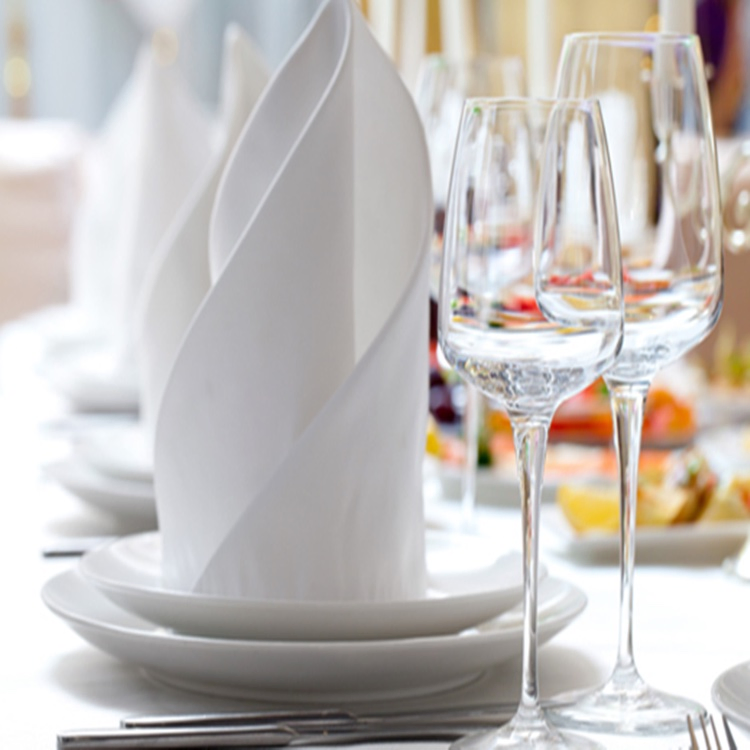 Premium 300 Thread Count White Cotton Napkins with Custom Logo