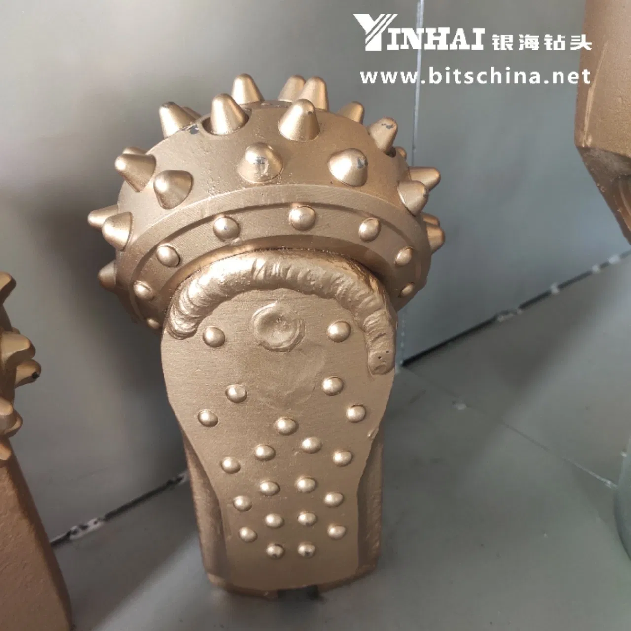 Singe Roller Cone Bits 8 1/2" IADC537/637/737 Segments/Palm/Cutter of Tricone Bits, Pile Cutter of Tricone Bit, Special Roller for Reamer in Trenchless