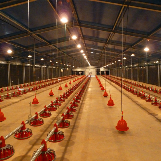 Prefabricated Steel Structure Building Poultry House Shed for Layer Broiler Farm