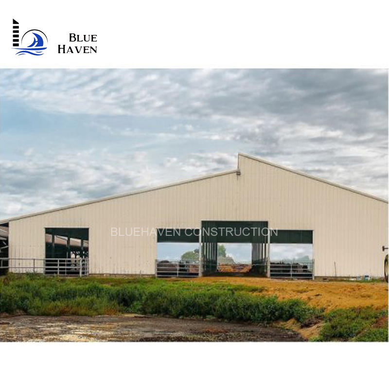 Prefab Chicken Farm Building and Automatic Controlled Poultry Farm Shed