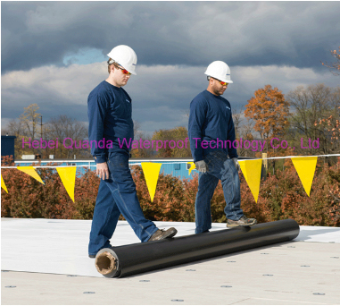 Type H 1.2mm Roofing Materials Polymer Roofing Tpo Waterproofing Membrane