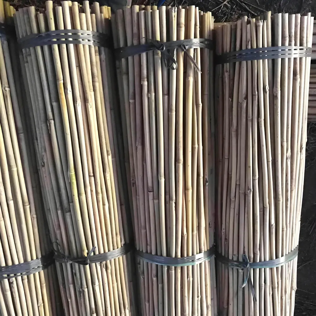 Garden Farm Use Bamboo Canes Poles and Stakes for Plantation Support