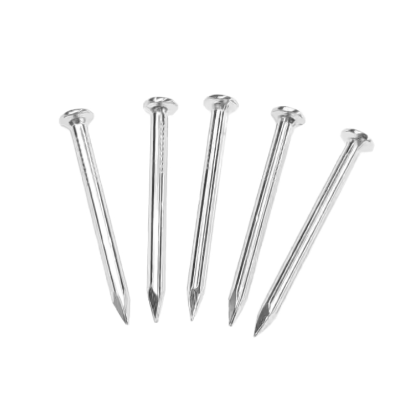 Stainless Steel Polished Steel Construction Spiral Wire Spike Twisted Shank Concrete Nails