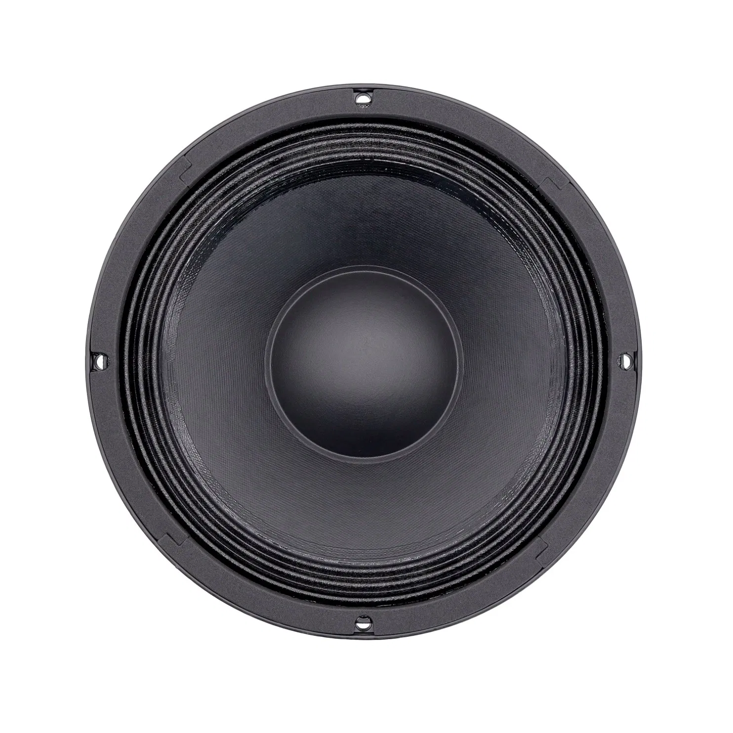 Professional 10 Inch Woofer Speaker 800W Stage PA Speaker OEM