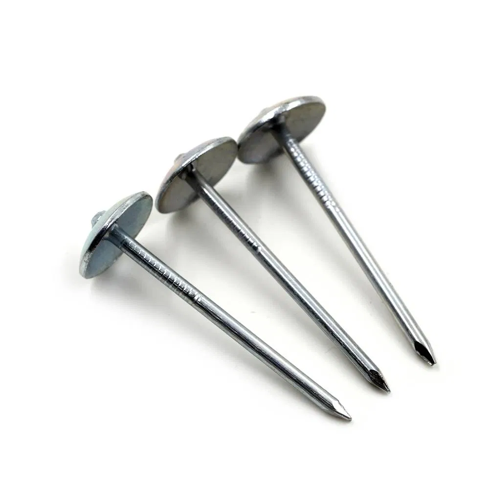 Chinese Manufacture Q195 Steel Umbrella Head Roofing Nail