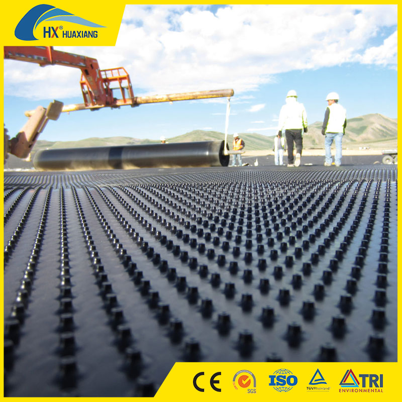 China Huaxiang Dimpled Drainage Board Sheet Hot Sale Best Price HDPE Plastic Water Impounding Waterproof for Roof Garden Drainage Board