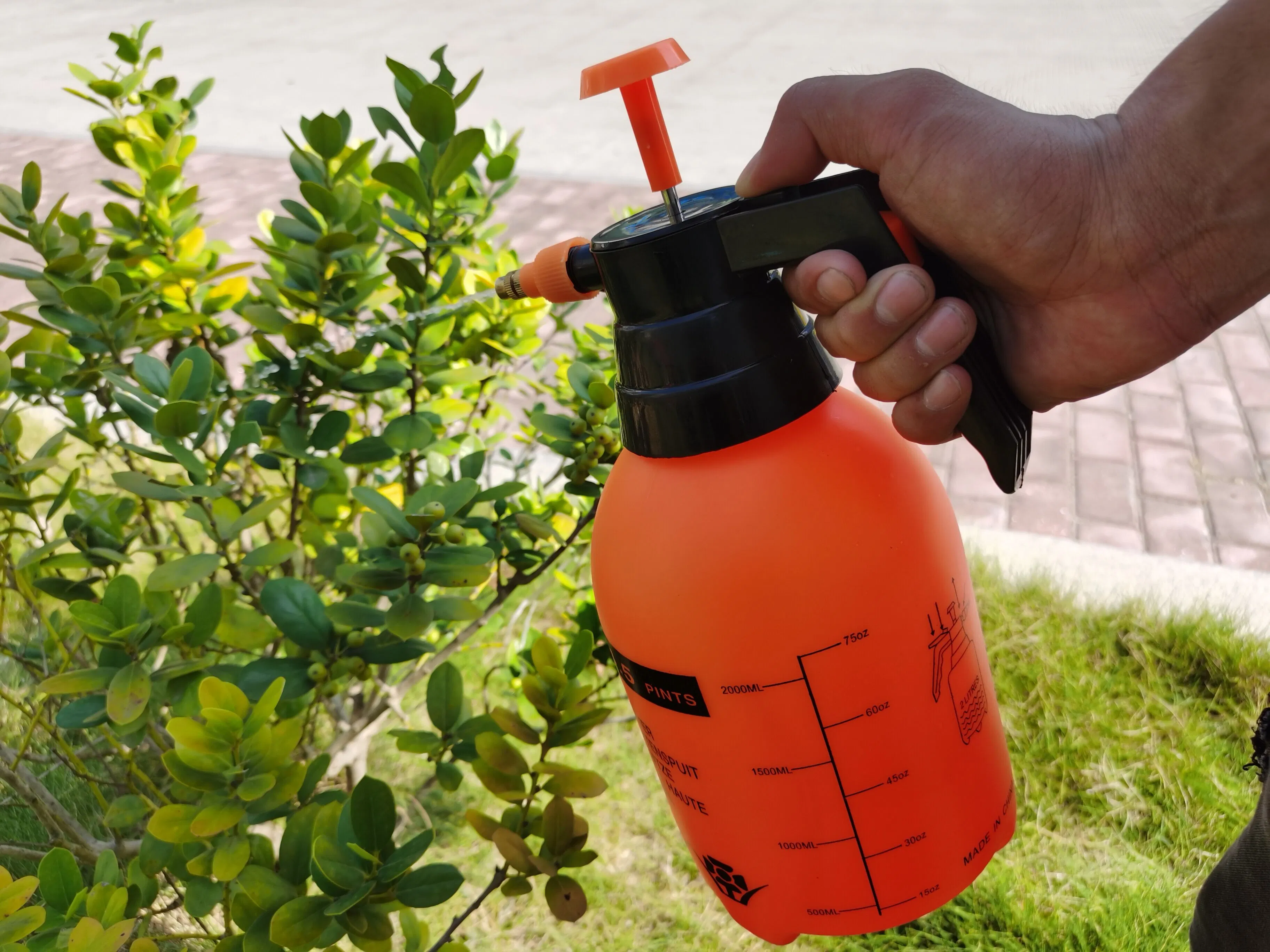 2L Pressure Garden Sprayer TM-02A Watering Can Mini Sprayer with CE