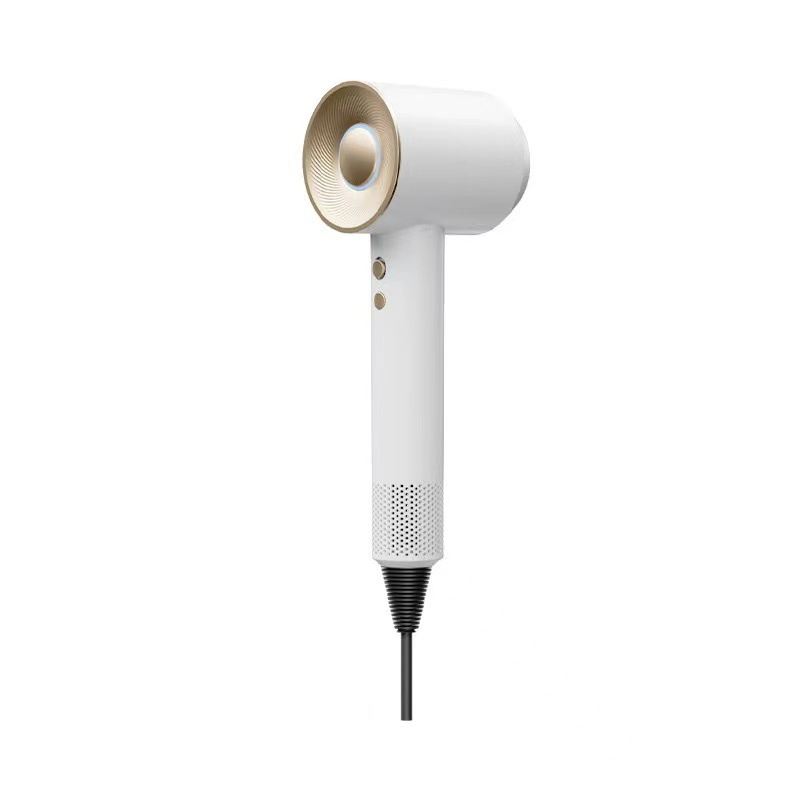 Silent High-Power Hair Dryer with Negative Ion Protection