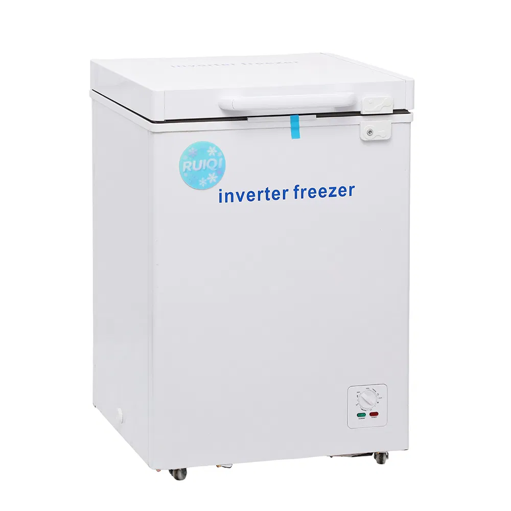 China Original Chest Freezer Foaming Door Top Open Door with Light 60liters