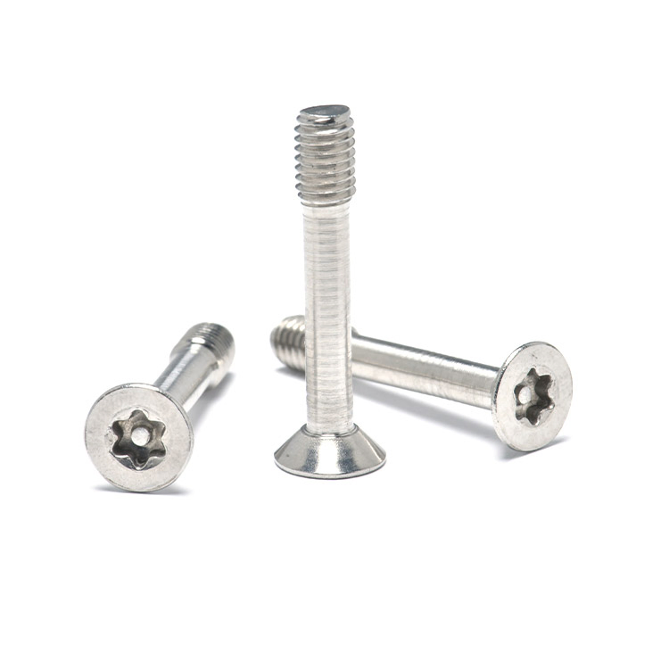 Винты самоконтрящиеся Torx с пином SS304