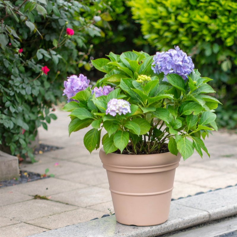 Wholesale Simple and Elegant Round Plastic Flower Pot for Outdoor Garden