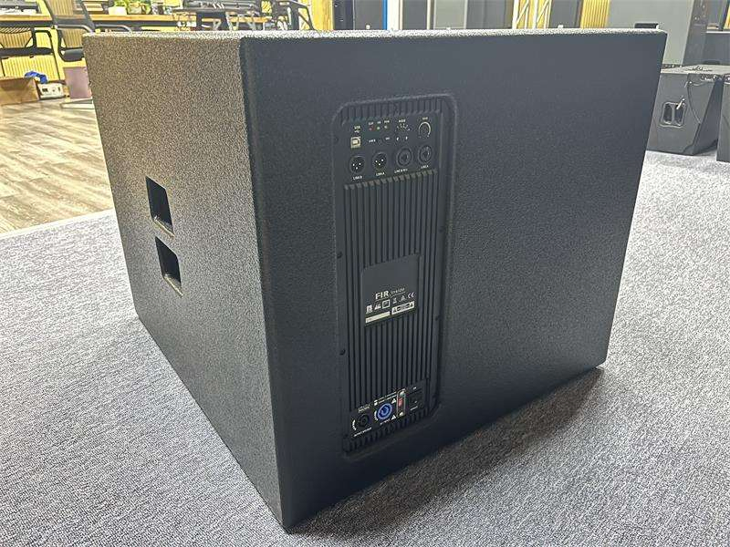 Premium 10-Inch Waterproof Coaxial Line Array Speaker System