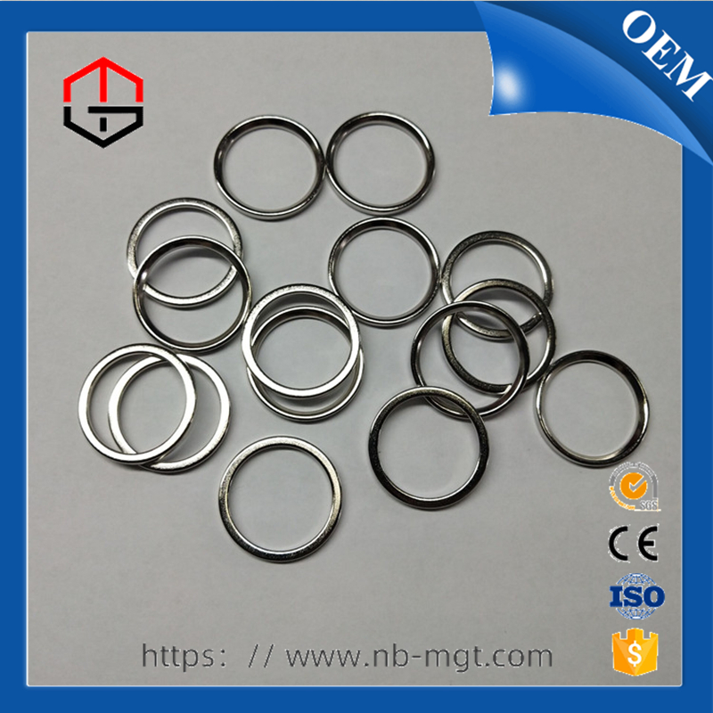 NdFeB Sintered Rare Earth Permanent Neodymium Ring Magnet for Earphone & Headphone Accessories