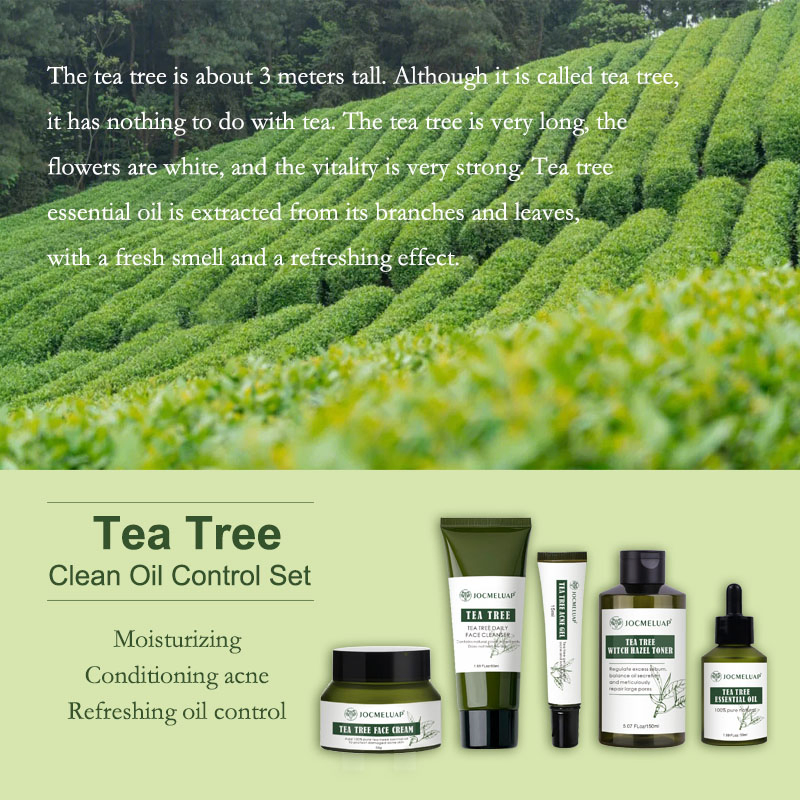 Wholesale Private Label Tea Tree Clean Oil Control Moisturizing Set for Face