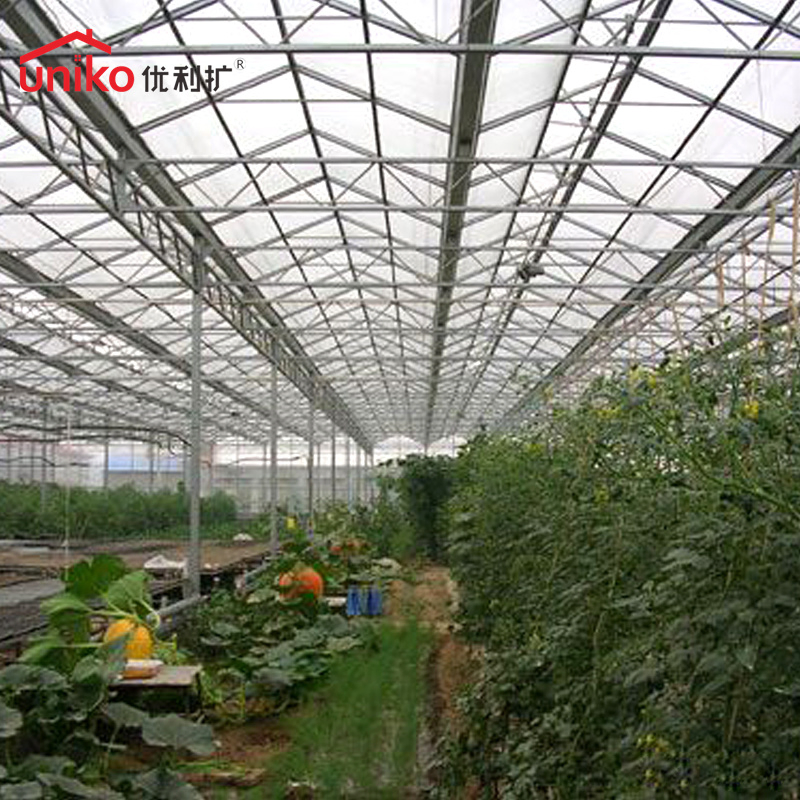Versatile Corrugated Polycarbonate Sheet for Roofing and Greenhouse