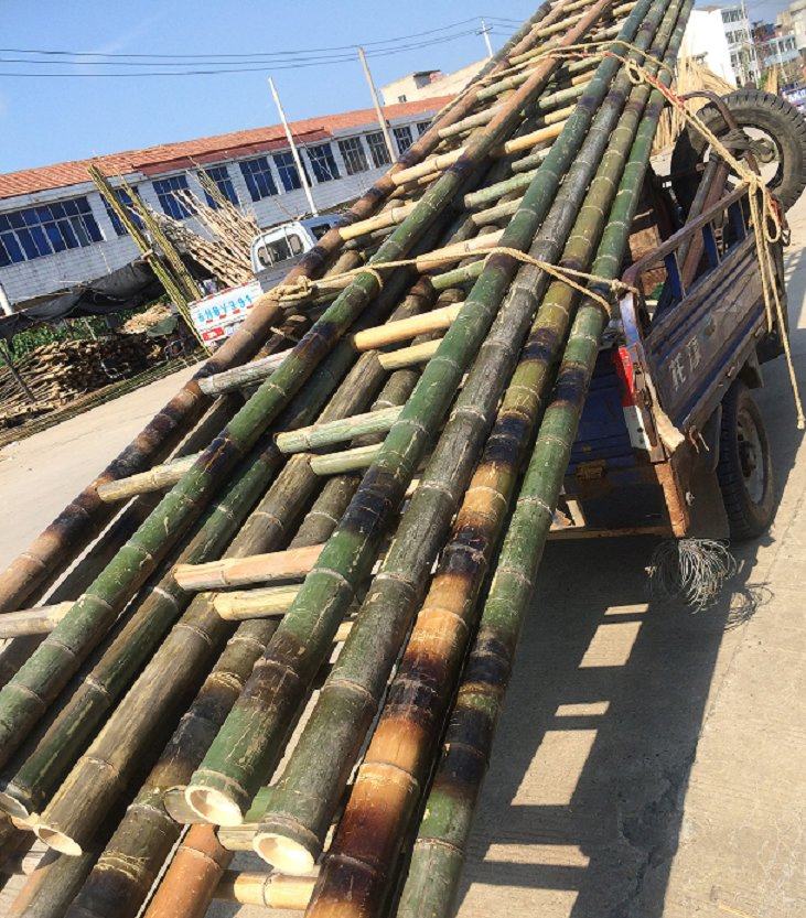 Long Moso Bamboo Ladder /Bamboo Stepladder / Insulation Ladders