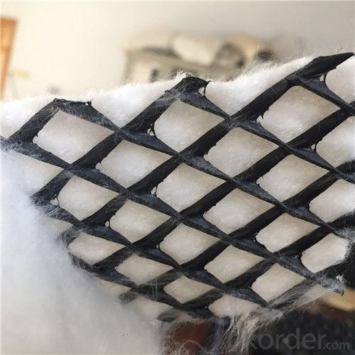 3D Composite Drainage HDPE Geonet Network Composite Drainage Geonet for Landfill
