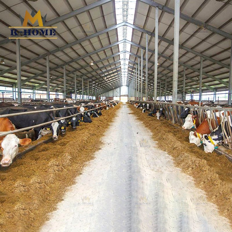 Steel Structure Farmhouse Shed Shelter Poultry House