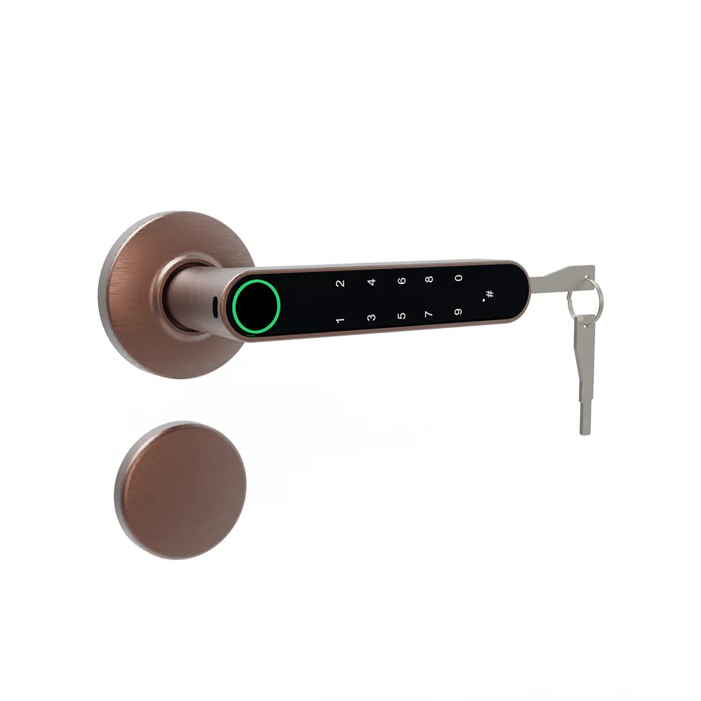 Tuya Bluetooth APP Rossette Digital Lock with 55X72 Lockbody