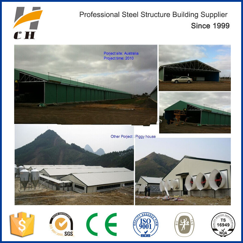 Prefab Steel Structure Poultry Housing Poultry Slaughter House Poultry Farm Construction