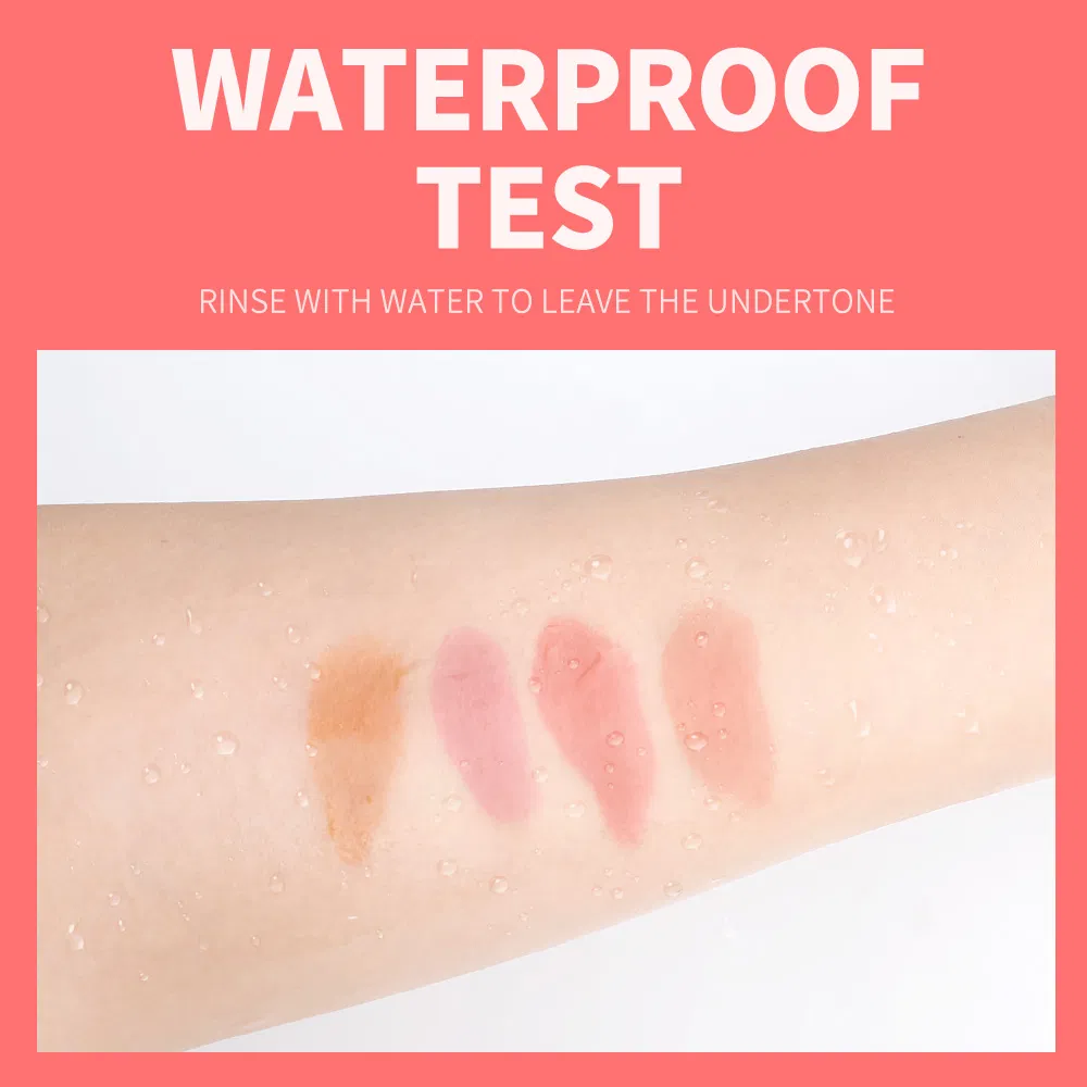 Four Colors Lipgloss Waterproof Long Lasting Lip Beauty Customzable Bulk Price Moisturized Lipgloss