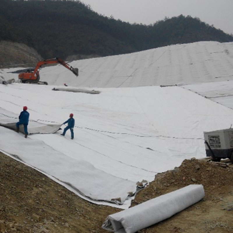 Drainage Geonet 3D Composite Drainage Network for Landfill
