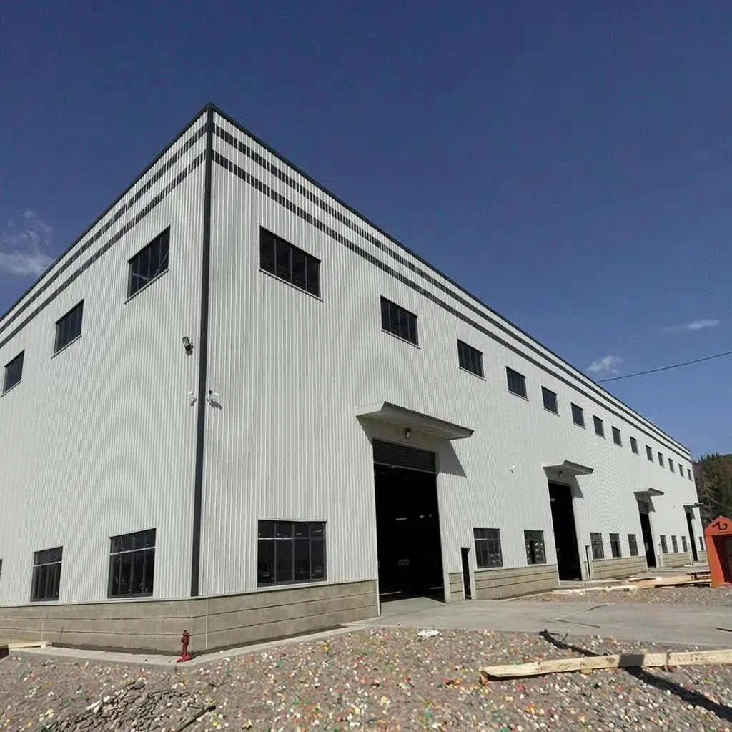 High Quality Prefabricated Professional Industrial Factory Steel Structure Warehouse