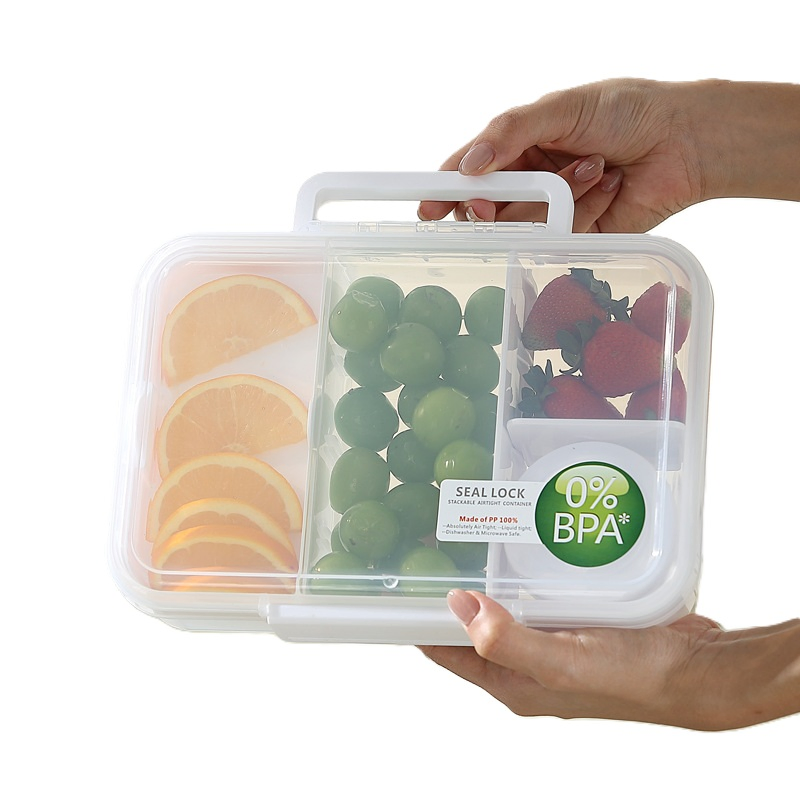 Compact Food Preservation System for Freshness on The Go
