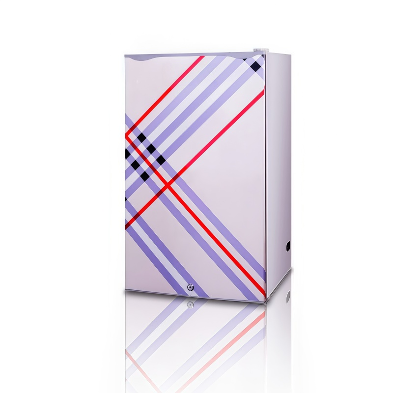 Portable Mini Small Fridge Home Appliance 90L DC 12V/24V Solar Refrigerator Fridge