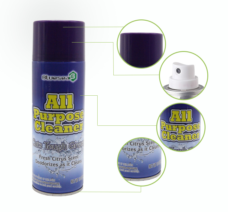 Multifunction Home Cleaning Spray Bottle Auto Glass Foam Cleaner
