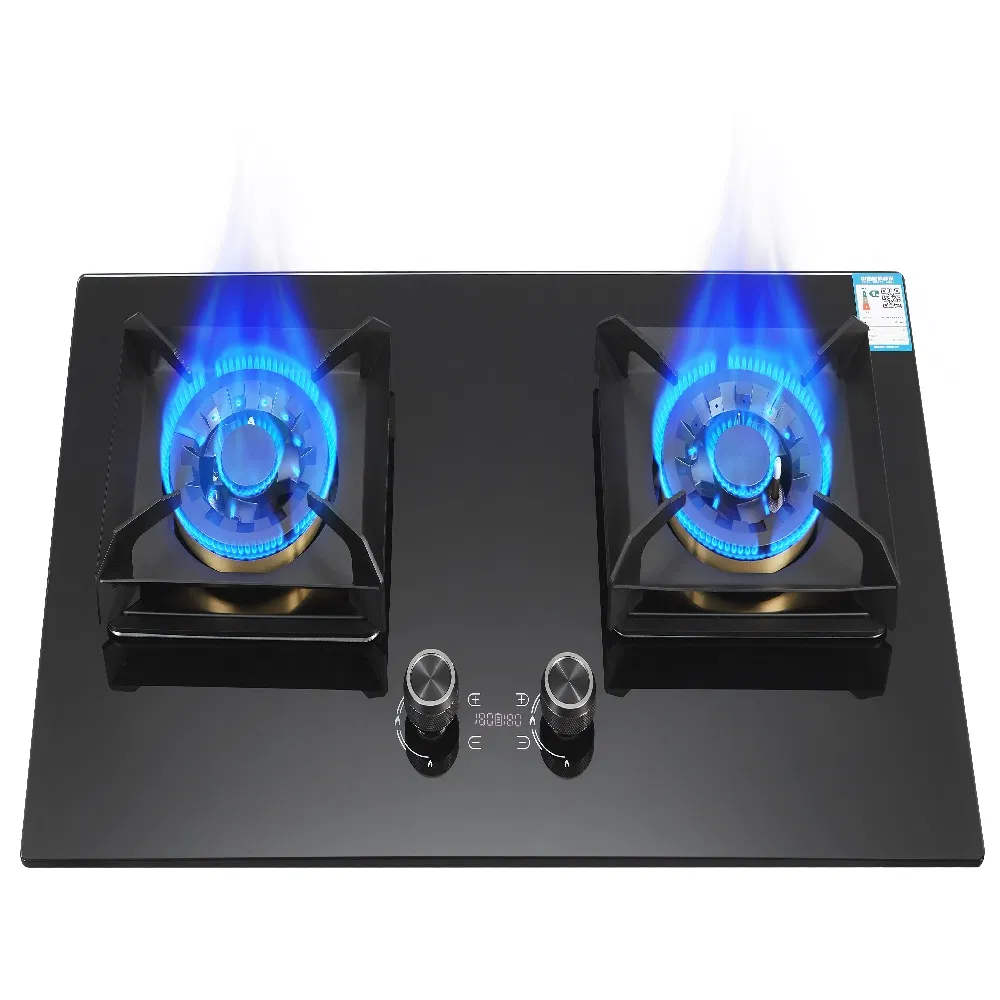 Built in Cookware Stainless Stee/Tempered Glass 2 Burner Gas Stove