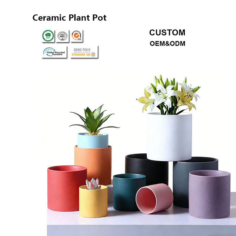 BPA-Free Eco-Friendly Ceramic Flower Pot for Organic Gardening