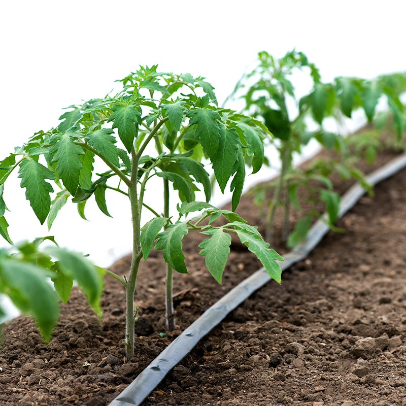 Pandora Custom New Plastic Irrigation System Spray Rain Pipe Drip Tape