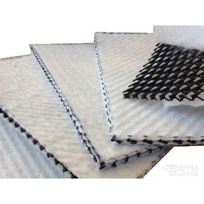 Factory Price Geonet Geotextile Composite Drainage Geonet for Landfill