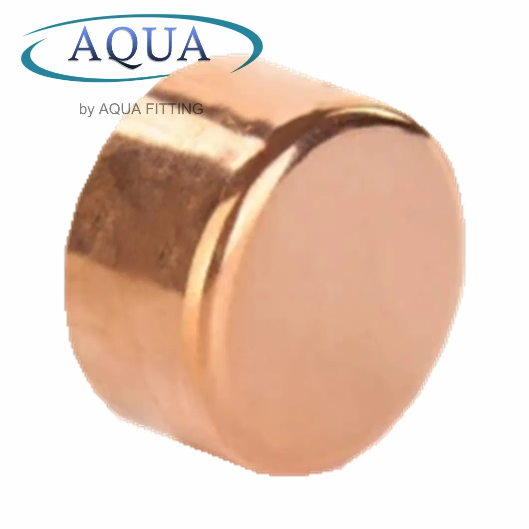 Brass End Cap Female Thread Compression with Water