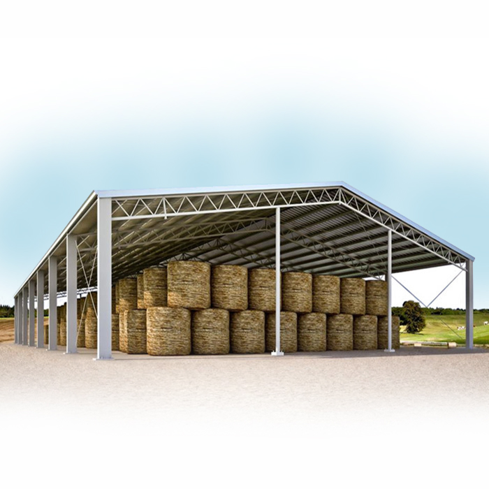 Metal Building Materials Outdoor Storage Shed Light Carports Garages Steel Structure Building