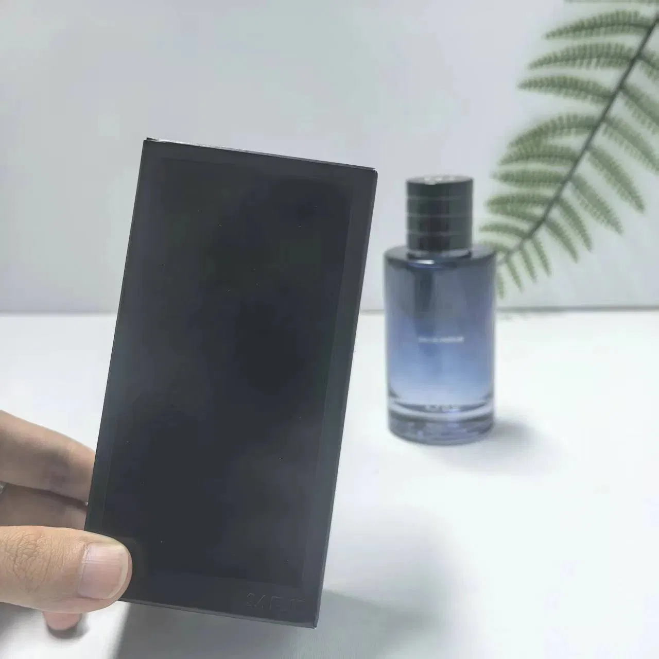 USA Warehouse High Quality Brand Perfume Long-Lasting Edp Cologne