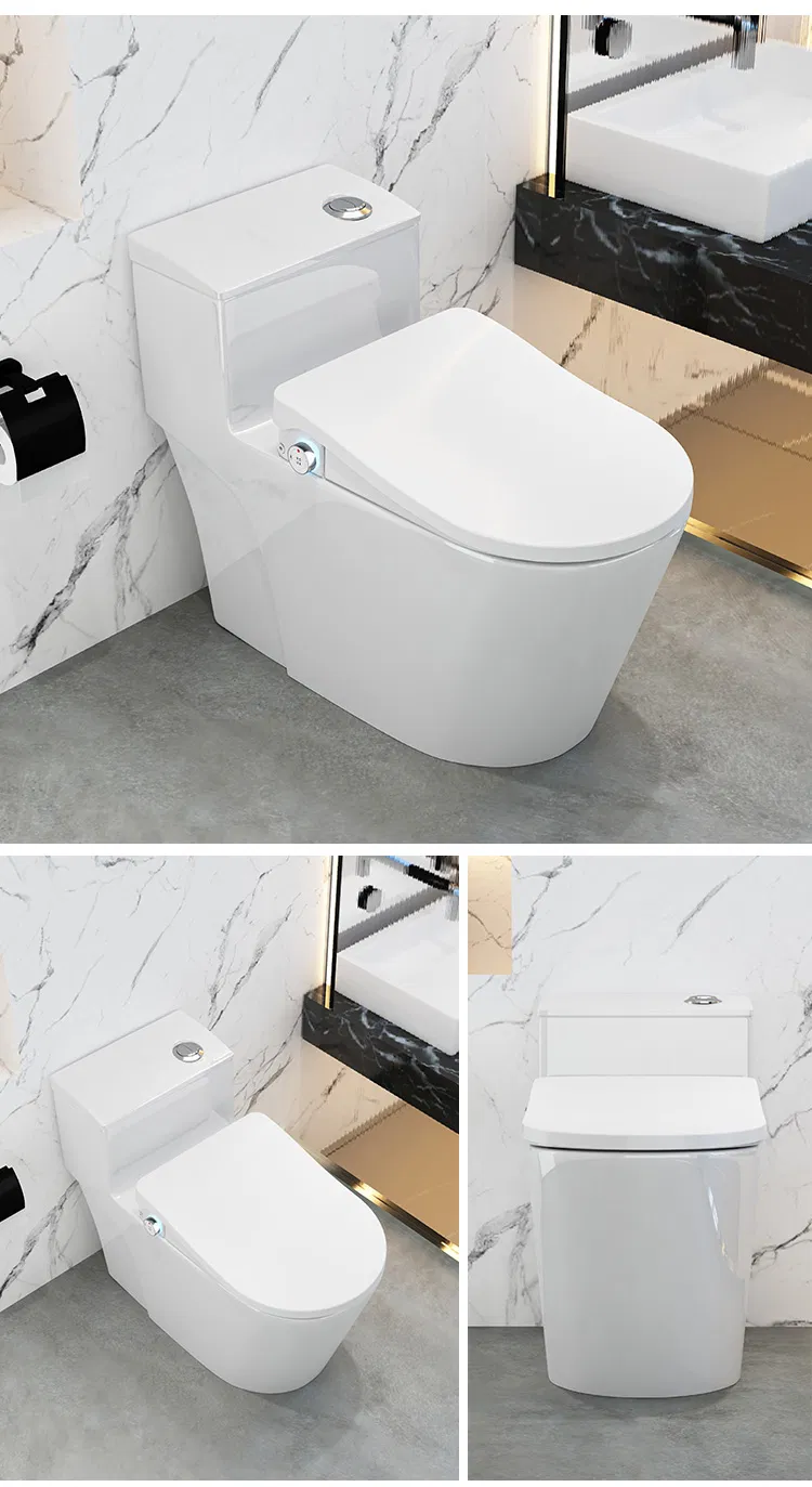 Multi Function Smart Toilet Bidet Wash Dry Dual Nozzle One Set Customization