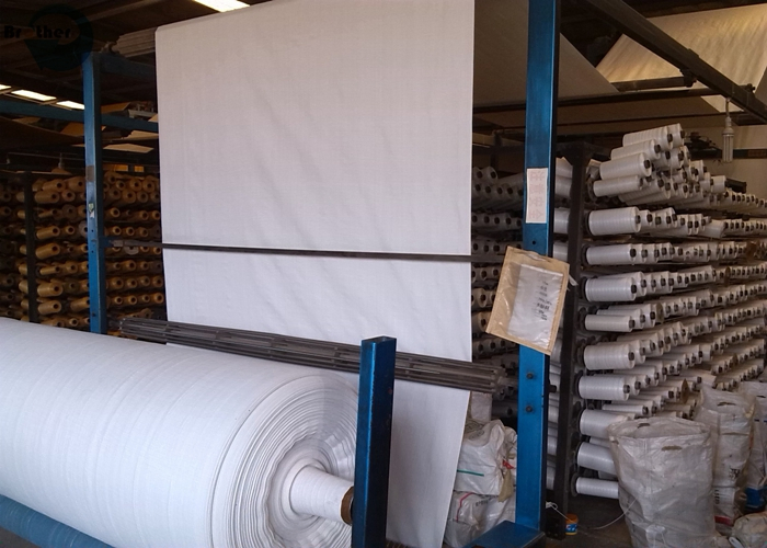 PP Fabric Roll, Woven Bag Roll to Packing Rice, Flour, Sugar, Garbage, Animal Feed