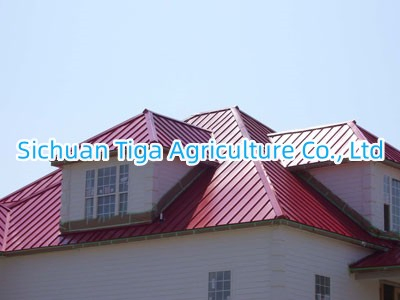 Fast Installation Steel Frame Structure Prefab Steel Villa for Apartment/ Hotel