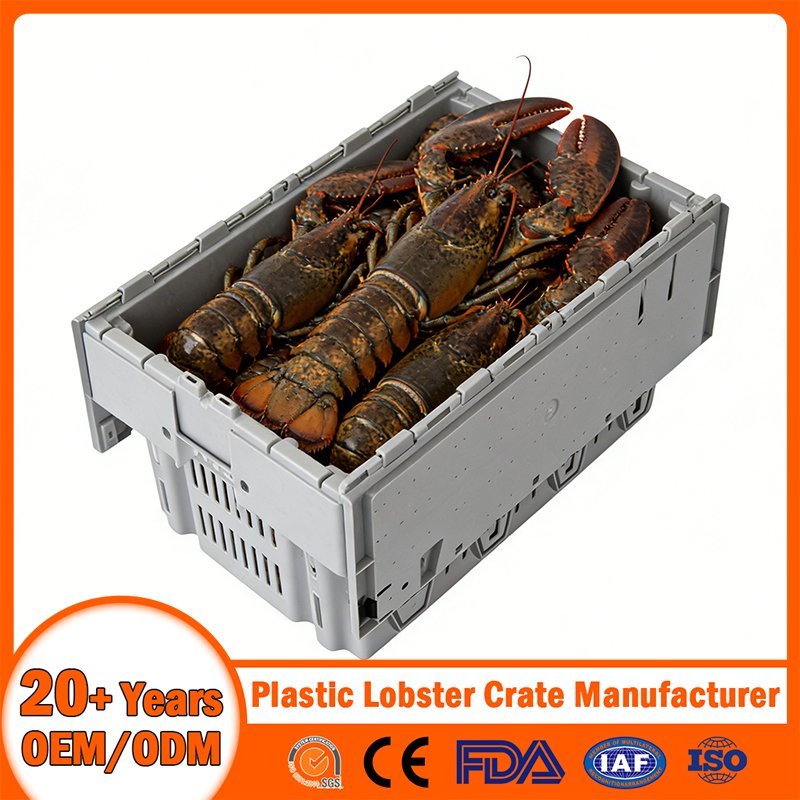Stackable Tote Foldable Nestable Storage Collapsible Bale Arm EU Logistic Mesh Plastic Lobster Crate for Beer/Bread/Seafood/Milk/Moving/Turnover/Agriculture
