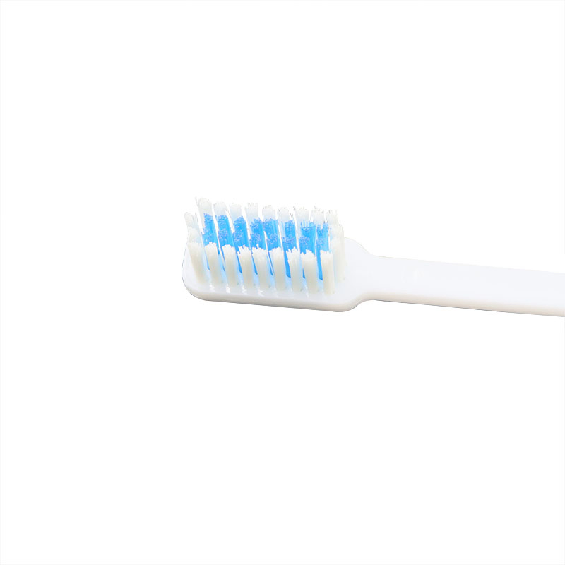 Manufacturer Travel Folding Toothbrush with Toothpaste Hotel