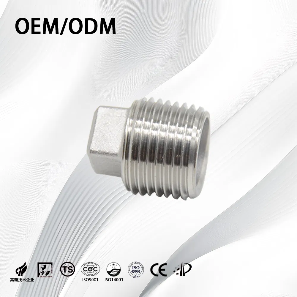 Stainless Steel Customize Threaded Pipe Fitting End Plug for Chemical Handling Pipe