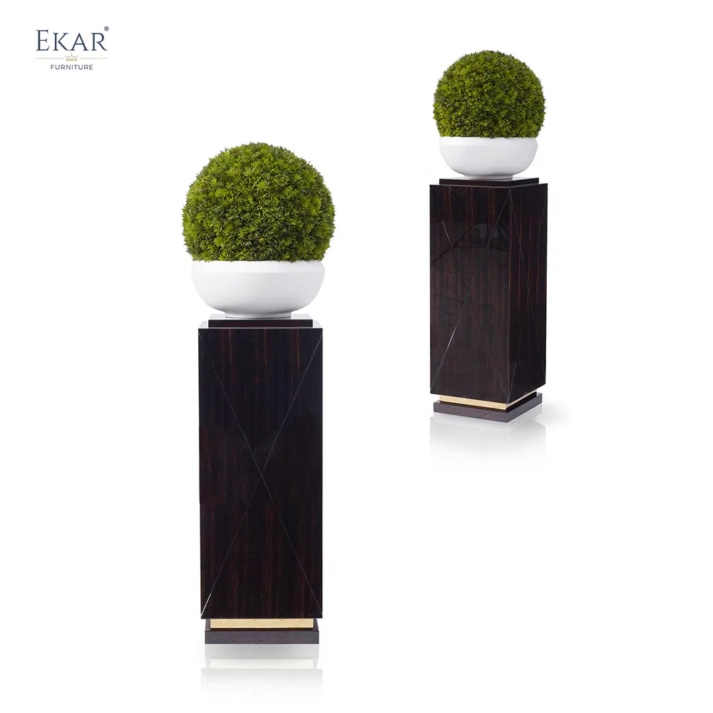 Stylish Indoor Flower Display Shelf for Home