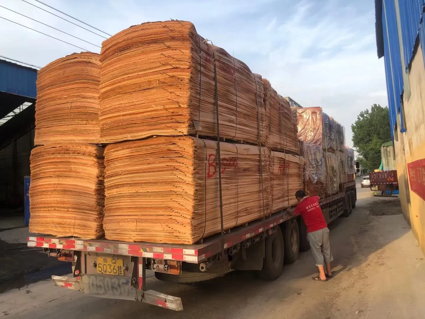 10'x6' Rotary Cut Okoume Veneer for Plywood